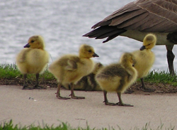 Ahhhhhhhhhhhhhhhhhhhh